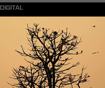 Portfolio - British Academy Internet Languages