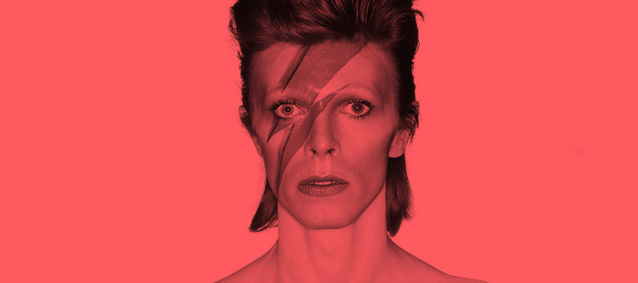 Portfolio - seatmain