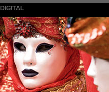 Portfolio - David Marshall Photography