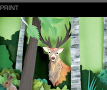 Portfolio - woodland trust